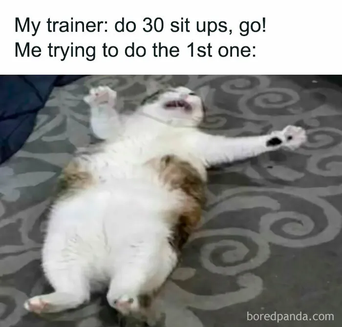 50 Of The Funniest Weight Loss And Diet Memes Because The Struggle Is Real