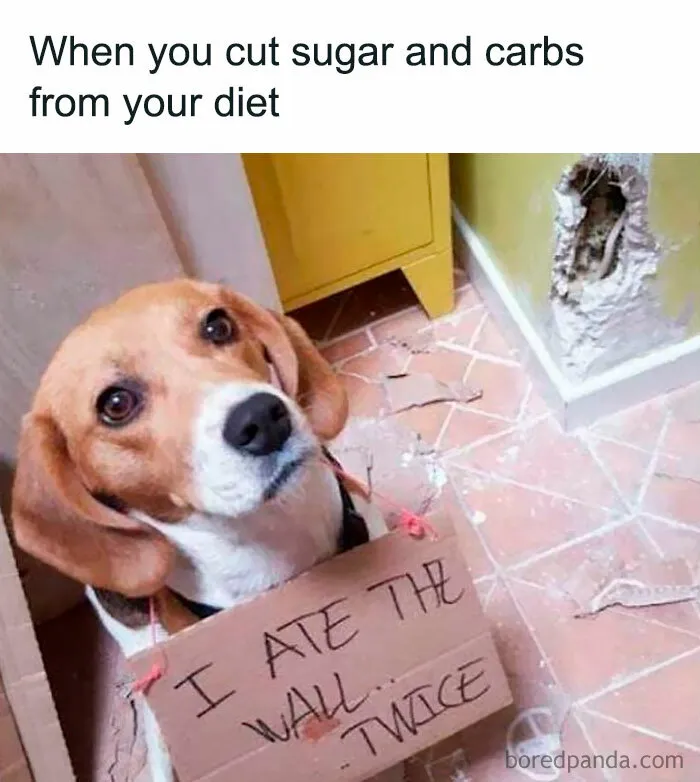 50 Of The Funniest Weight Loss And Diet Memes Because The Struggle Is Real