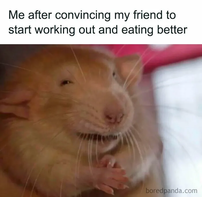 50 Of The Funniest Weight Loss And Diet Memes Because The Struggle Is Real