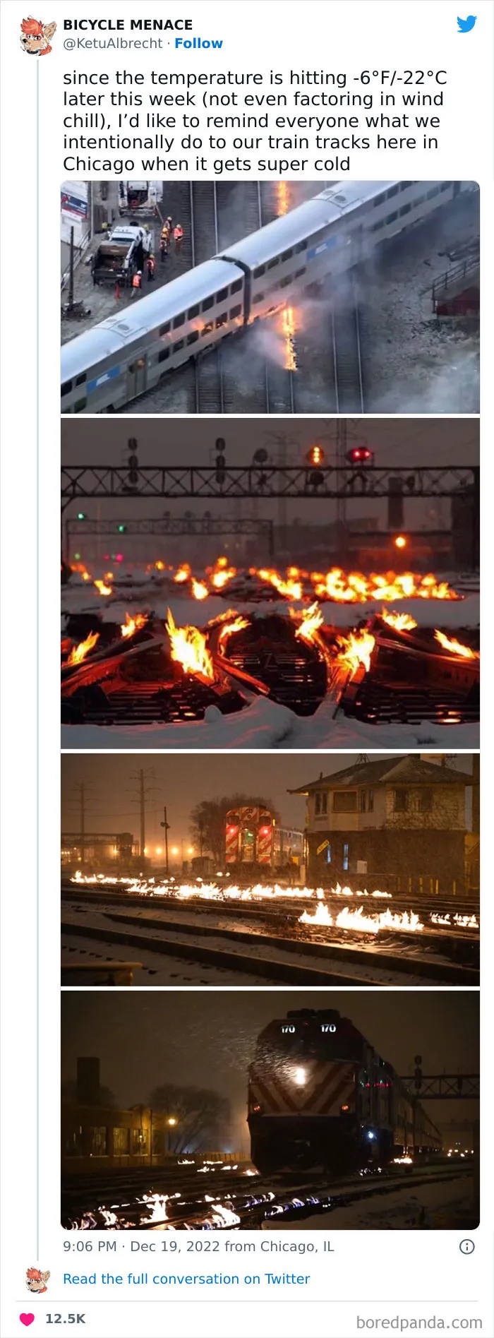 Arctic Freeze Hits North America, Causes Chaos In Many Areas (45 Pics)