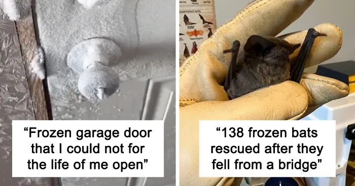 Arctic Freeze Hits North America, Causes Chaos In Many Areas (45 Pics)