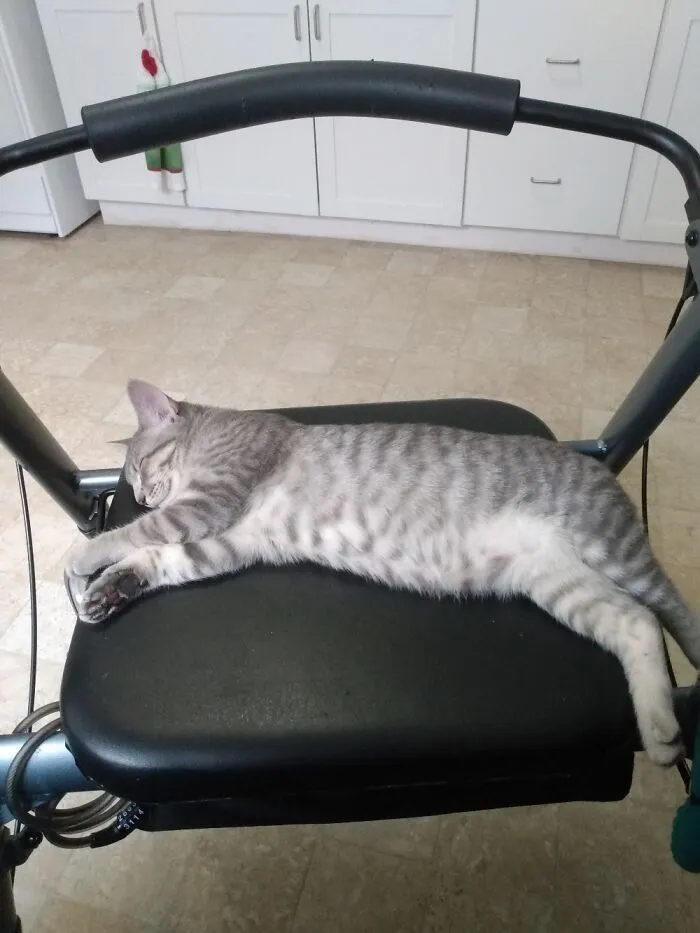 Bouche On Her Walker