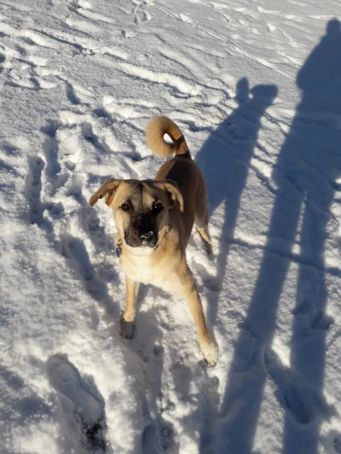 Lara Loves To Eat Little Snowballs