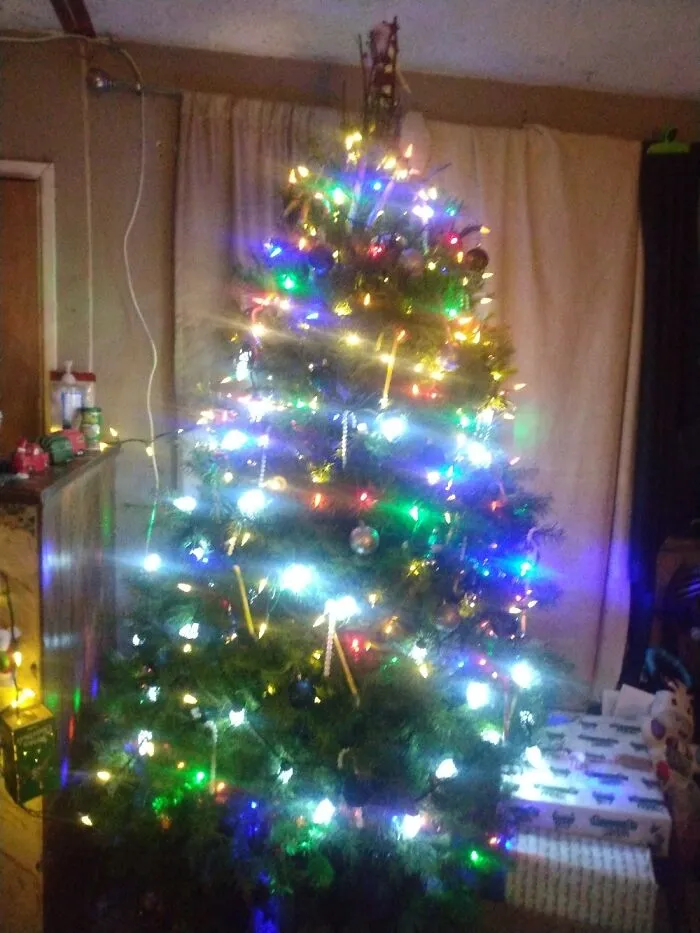Granddaughter Decorated All By Herself