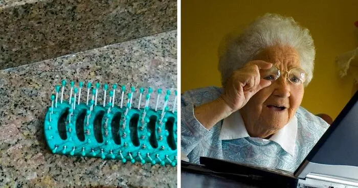 'When You See It': 40 Perfectly Camouflaged Things That Will Probably Take Too Long To Find, As Shared On This Online Group