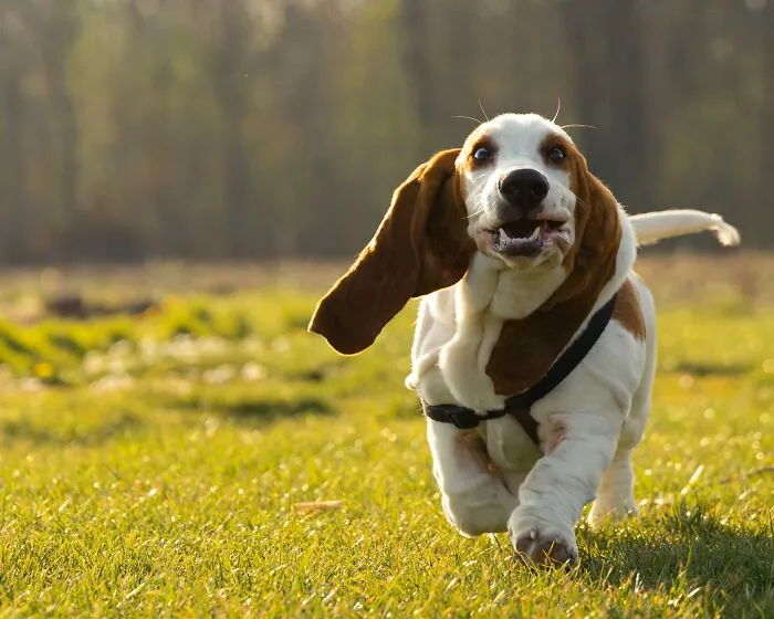 "When I Was Little...": 40 Funny And Wholesome Childhood Stories, As Told By Our Community