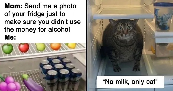 35 Pics Of Unexpected Things In Fridges That People Shared On This Online Group