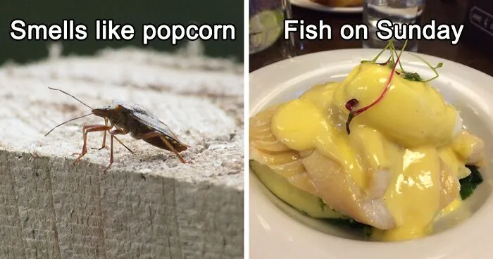 30 Restaurant Red Flags That Chefs Say You Shouldn't Ignore