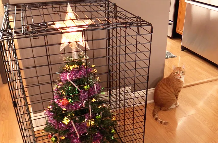 How To Protect Christmas Tree From Your Cat? Use A Cage. For The Tree