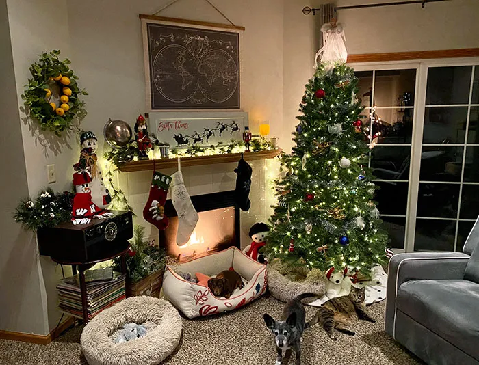 It’s Not The Fanciest Place, But I Think It’s Pretty Cozy At Christmas