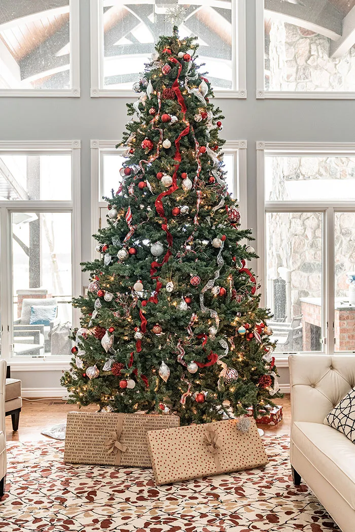 Set Up A Christmas Tree
