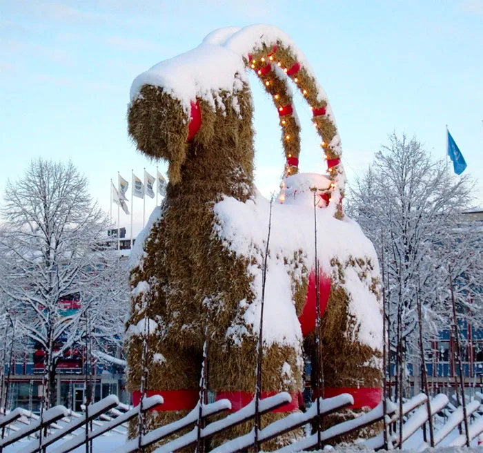 Yule goat standing in the field