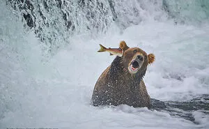 The Much-Anticipated Comedy Wildlife Photography Contest 2022 Has Finally Announced Its Winners (16 Pics)