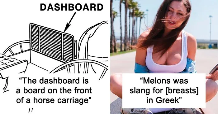 This Online Thread Is Dedicated To The Coolest Origins Of Words And Here Are 45 Of The Most Interesting Ones
