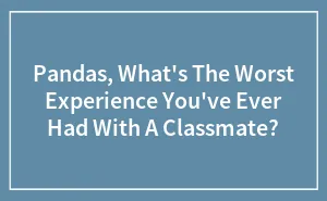 Pandas, What's The Worst Experience You've Ever Had With A Classmate?