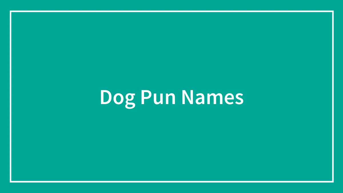 168 Creative Dog Pun Names For The Goodest Bois And Gals