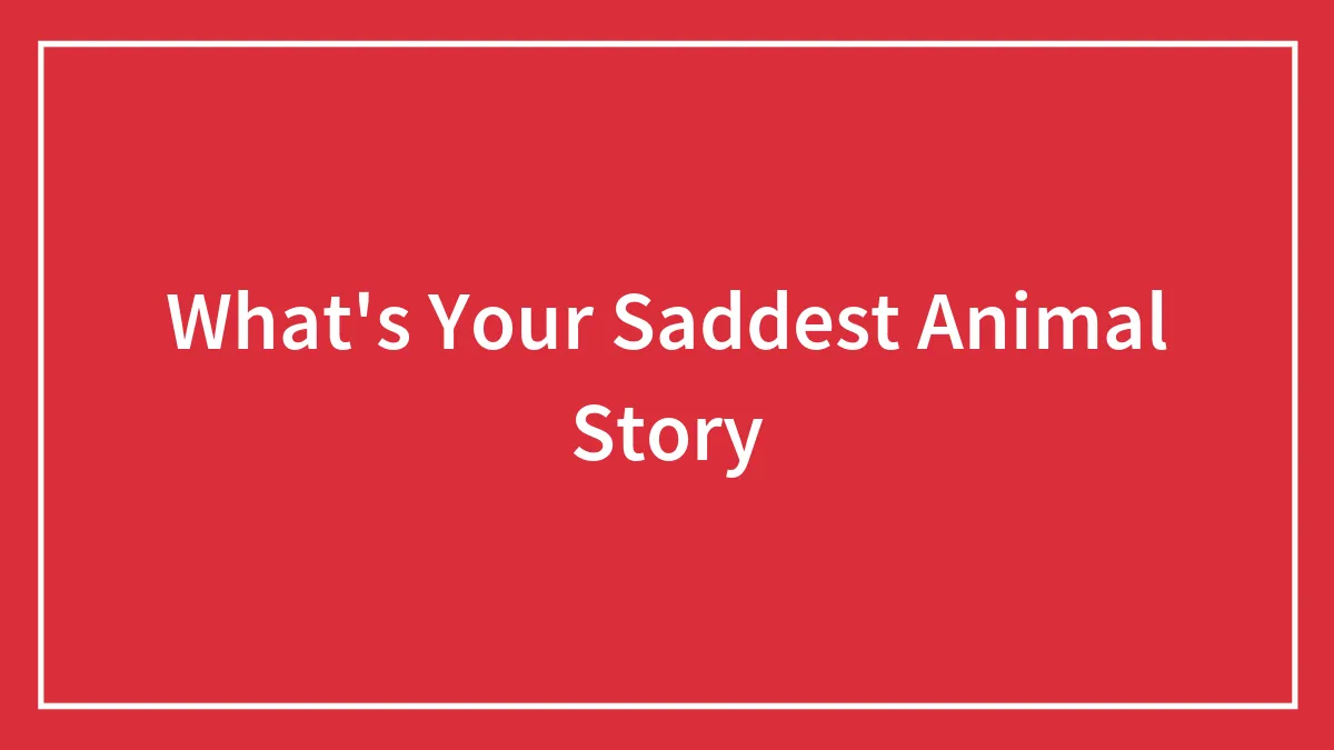 What's Your Saddest Animal Story