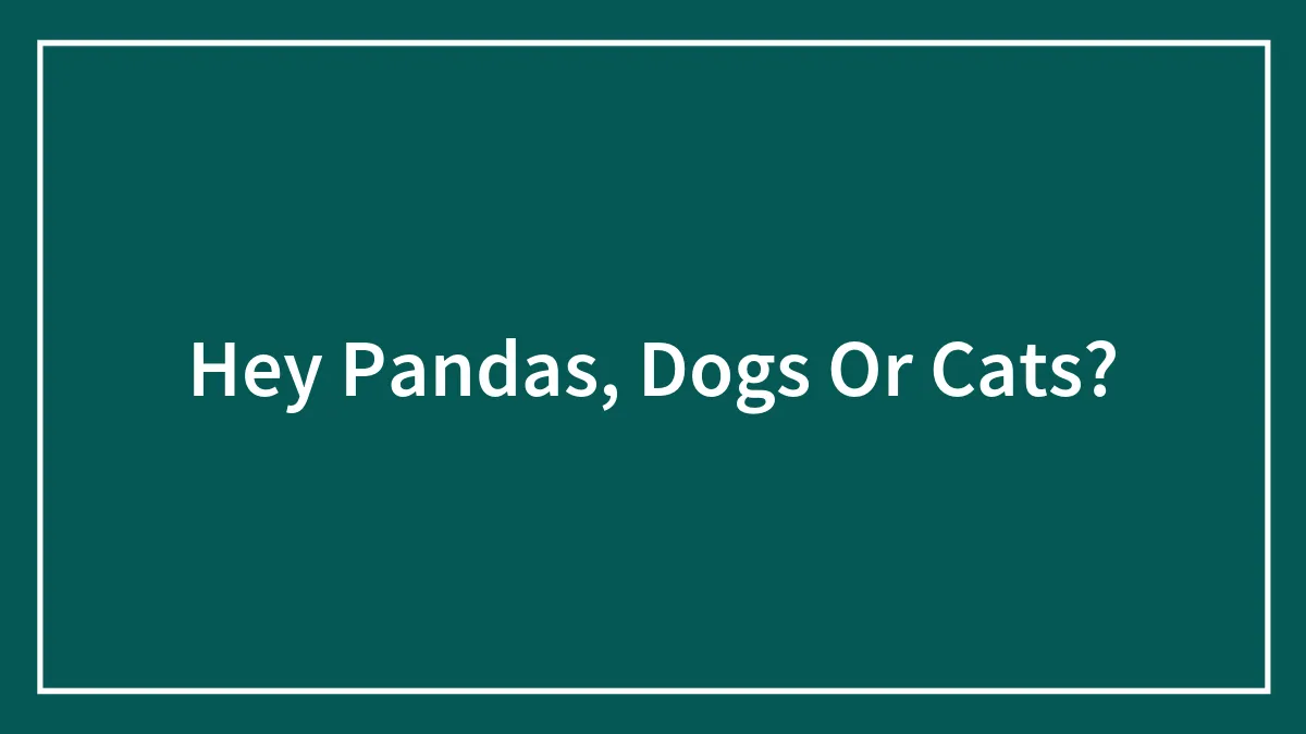 Hey Pandas, Dogs Or Cats?