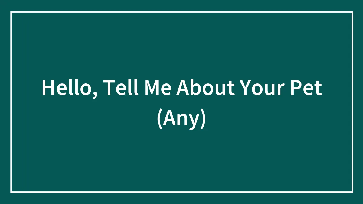 Hello, Tell Me About Your Pet (Any)