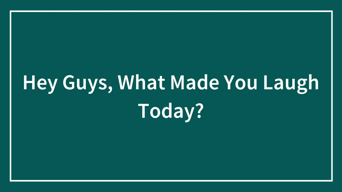 Hey Guys, What Made You Laugh Today?