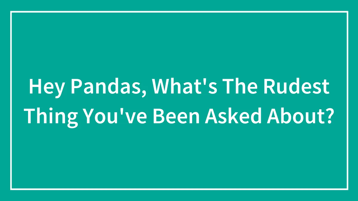 Hey Pandas, What's The Rudest Thing You've Been Asked About? (Closed)