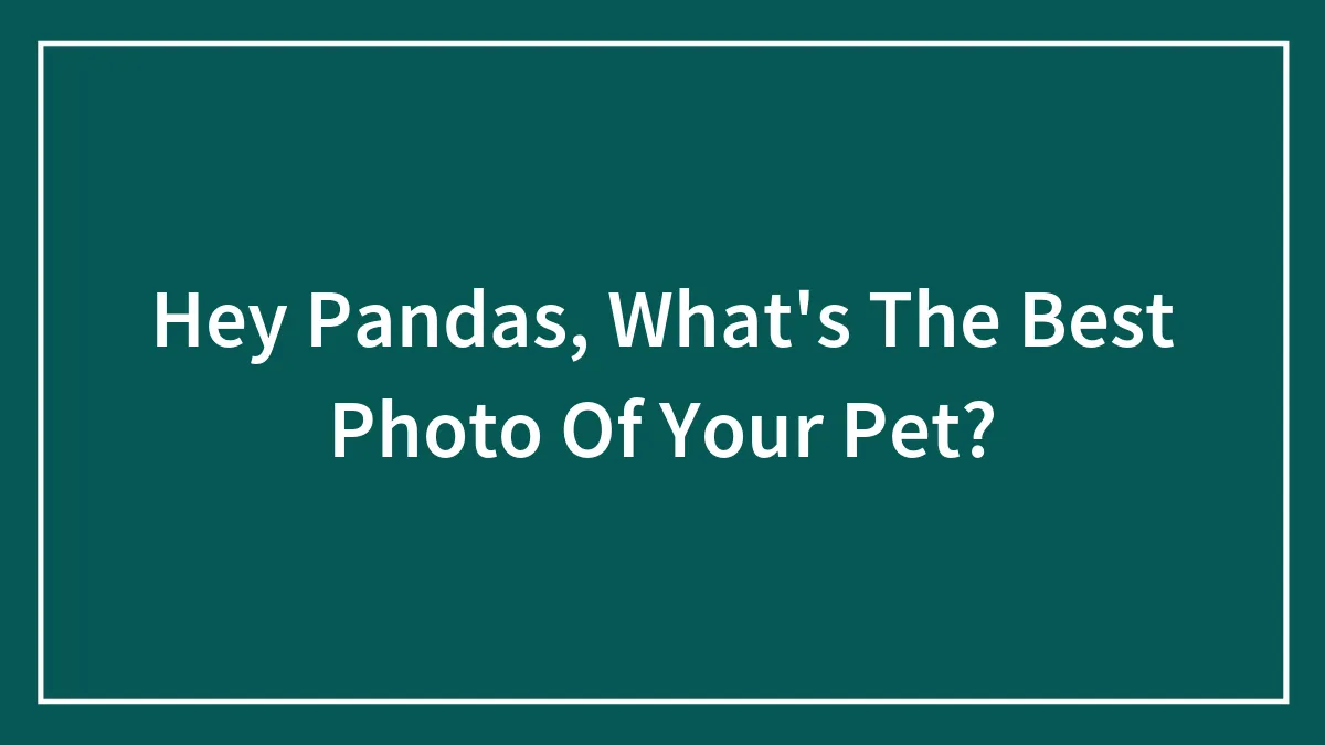 Hey Pandas, What's The Best Photo Of Your Pet?