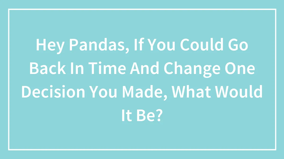 Hey Pandas, If You Could Go Back In Time And Change One Decision You Made, What Would It Be? (Closed)