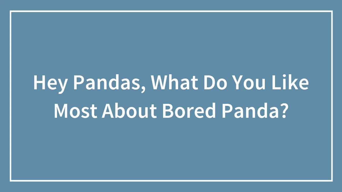 Hey Pandas, What Do You Like Most About Bored Panda? (Closed)