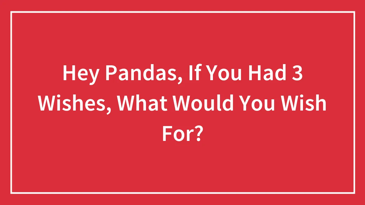 Hey Pandas, If You Had 3 Wishes, What Would You Wish For? (Closed)
