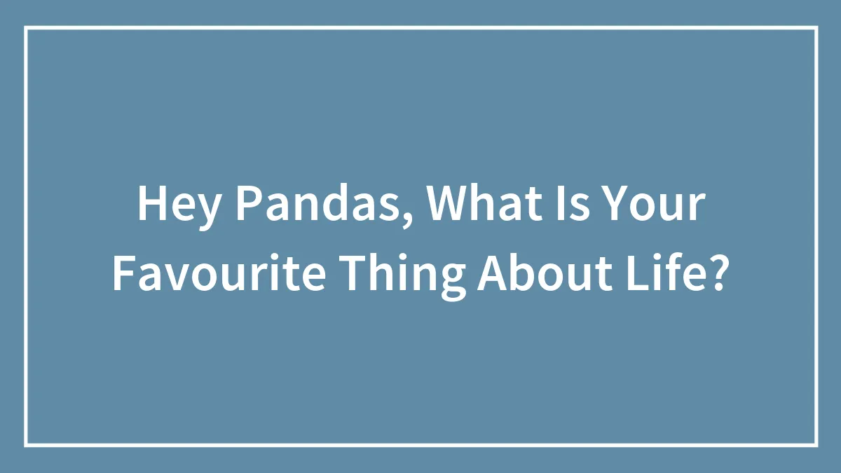 Hey Pandas, What Is Your Favourite Thing About Life?