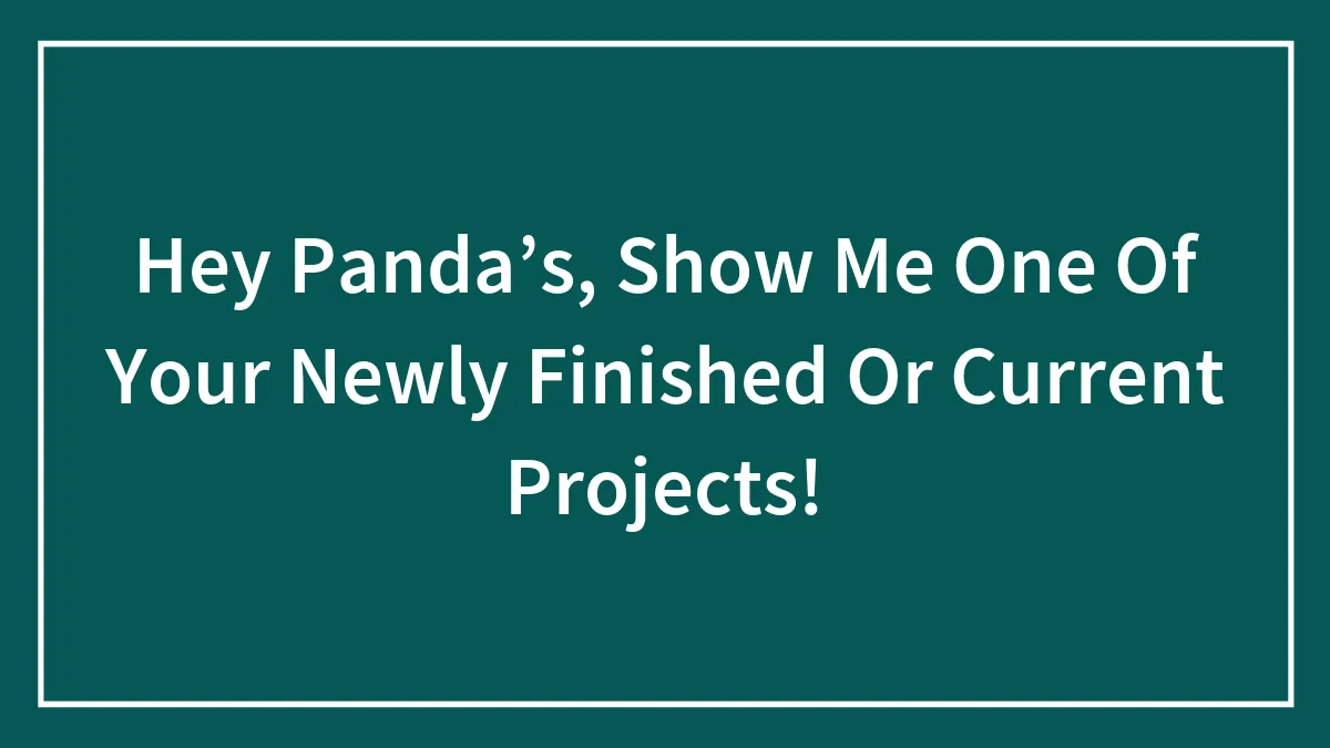 Hey Panda’s, Show Me One Of Your Newly Finished Or Current Projects!
