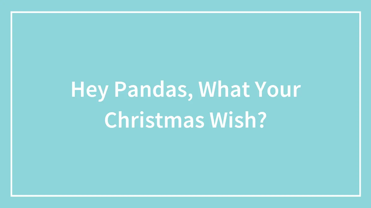 Hey Pandas, What Your Christmas Wish?