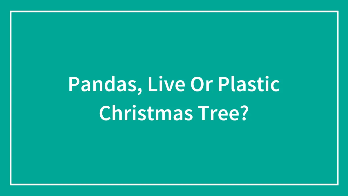Pandas, Live Or Plastic Christmas Tree?