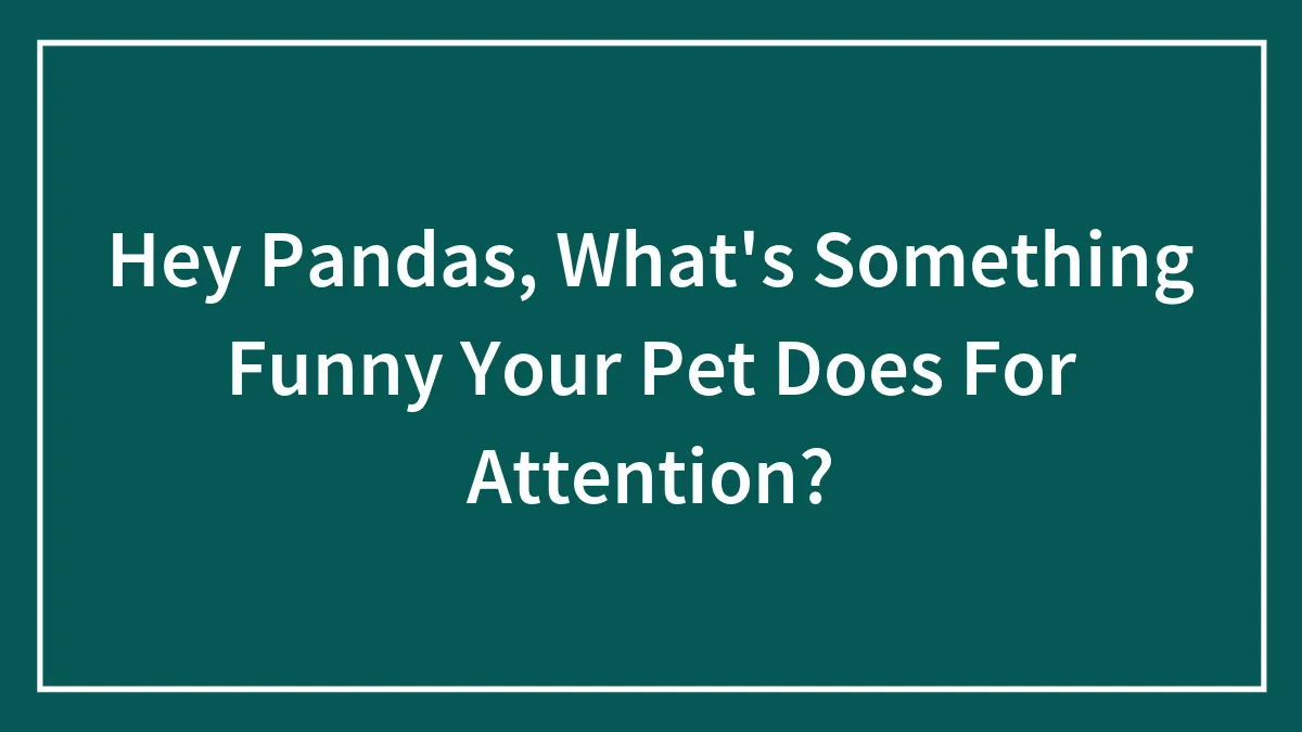 Hey Pandas, What's Something Funny Your Pet Does For Attention? (Closed)