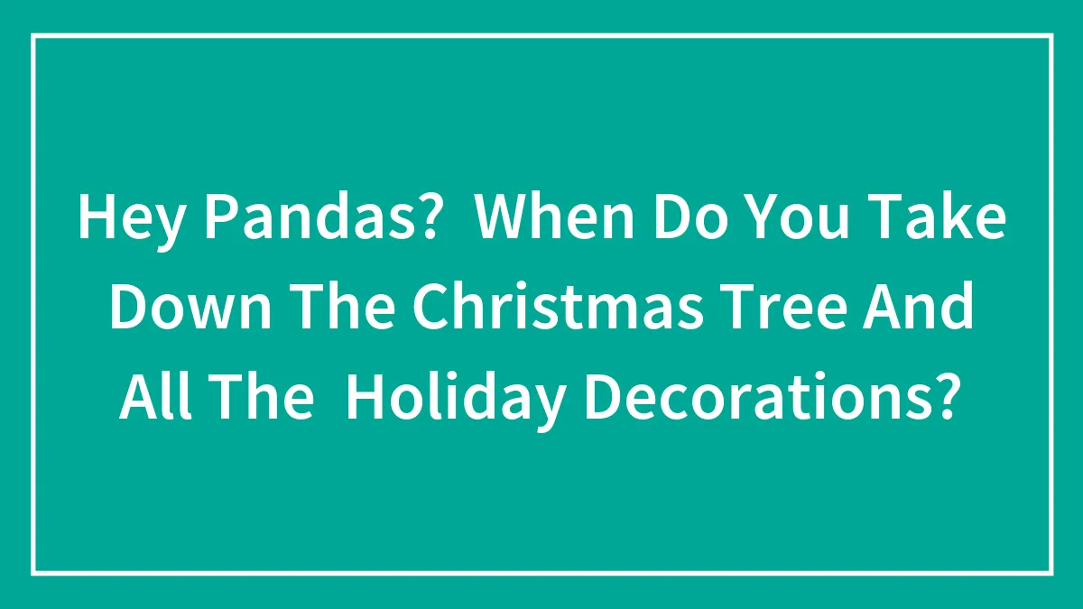 Hey Pandas?  When Do You Take Down The Christmas Tree And All The  Holiday Decorations?