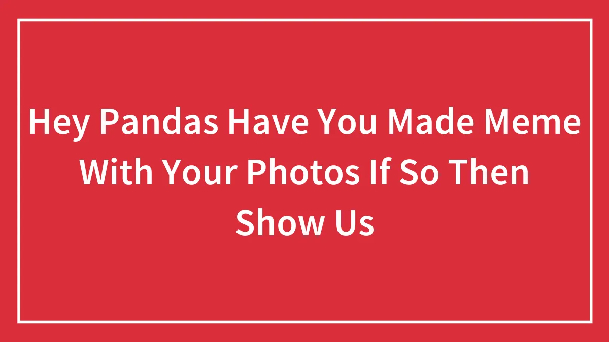 Hey Pandas Have You Made Meme With Your Photos If So Then Show Us