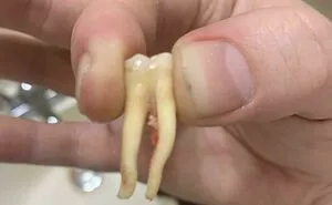 “Oddly Terrifying”: 50 Times People Spotted Creepy Things And Just Had To Share Them (New Pics)