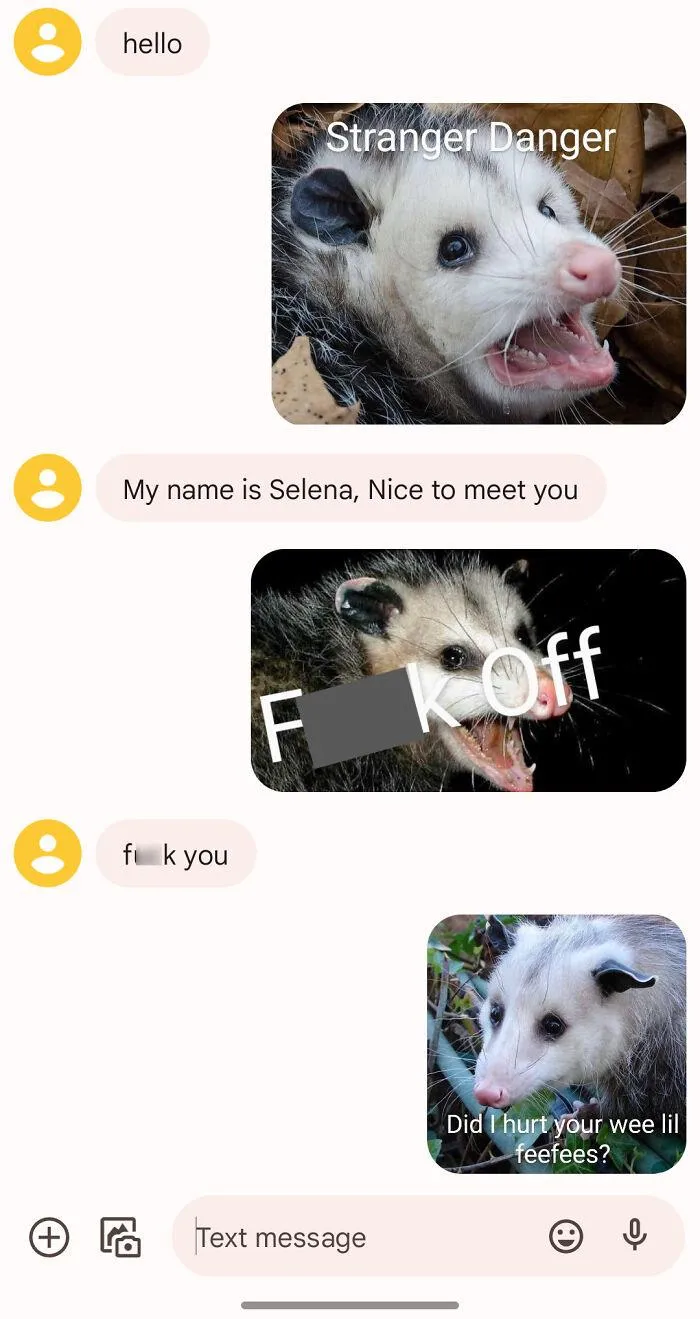 Wrong Number Chaos
