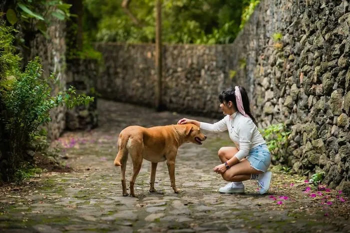"Nadie quiere admitirlo": 35 cosas que casi todo el mundo hace pero fingen que no