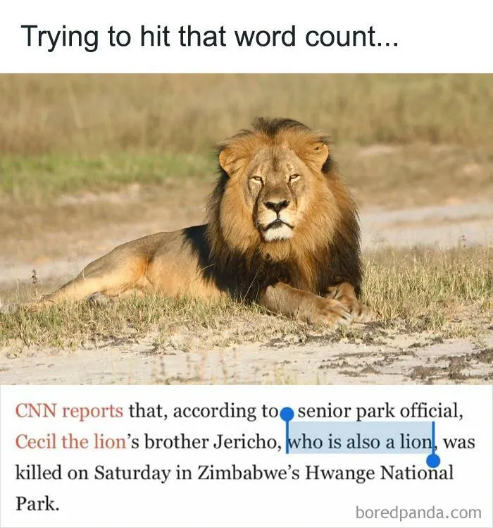 Cecil’s Brother, Jericho, Is Also A Lion, Don’t You Know That!?