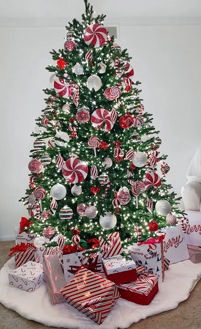 I Love My Peppermint Tree And Wanted To Share It