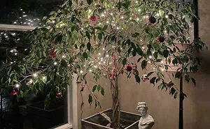 50 People Who Won Christmas With Their Creative Christmas Trees (New Pics)