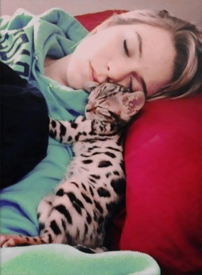 A Bengal Kitty