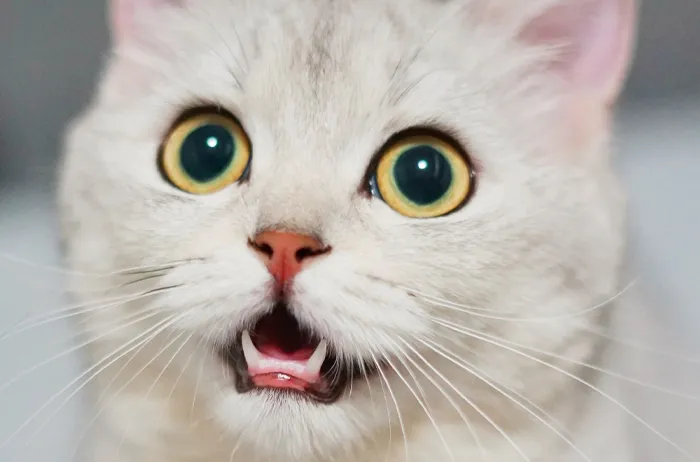 Brighten Up A Day With These 50 Dark Humor Jokes