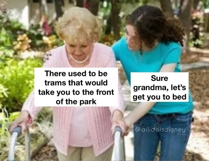 30 Posts Summing Up The Reality Of ‘Disney Adults’