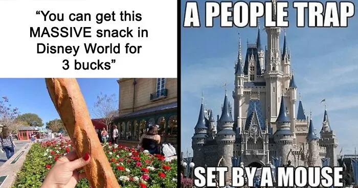 30 Posts Summing Up The Reality Of ‘Disney Adults’