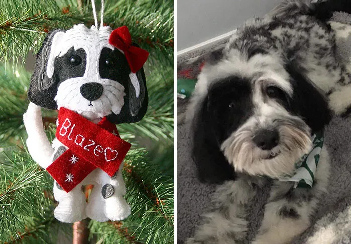 I Made Christmas Ornament For My Sister - Say Hello To Blaze