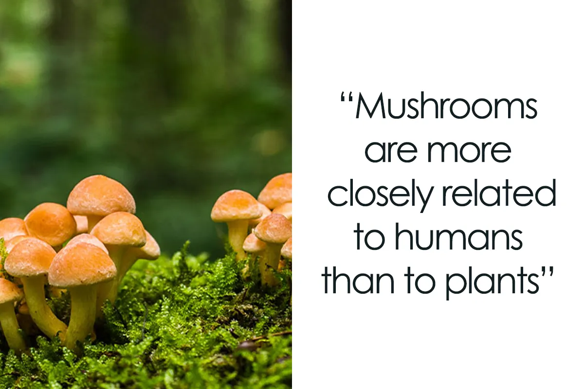 "Today I Learned": 40 Interesting Things People Didn't Learn In School (New Pics)