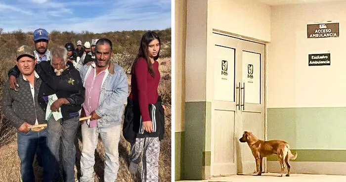 Dog Named Palomo Has Helped Mexican Authorities To Find His Missing Owner