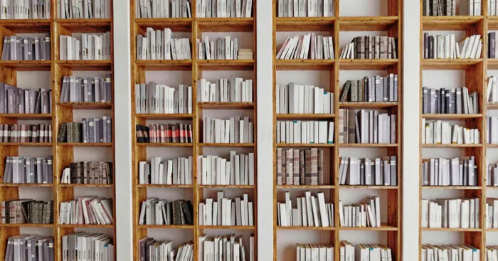 Hey Pandas, Post An Excerpt Of A Book You Are Working On Writing